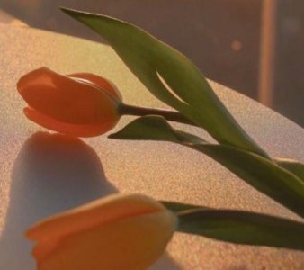 ​校园秋季运动会加油口号简短(98句)