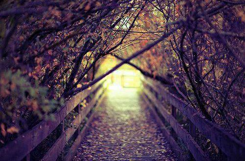 经典励志句子摘录79条