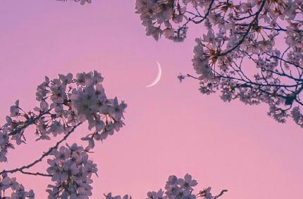 诚信的名言警句-关于诚信的名言