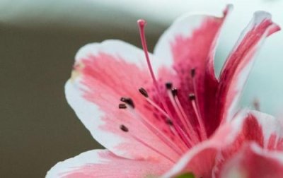 ​动漫经典的话88句