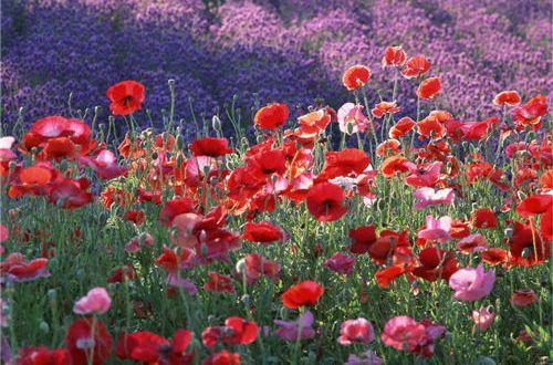 经典哲理句子句句穿心（精选80句）