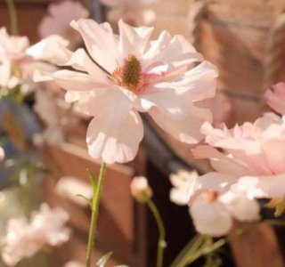 ​2025天猫双十一横幅口号大全(电商备战双11霸气口号)