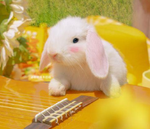 有哲理的现代句子