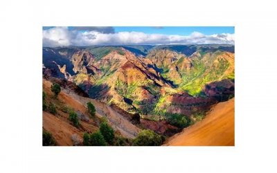 ​鲜花带给人美好心情唯美句子精选89句