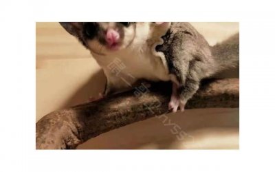 ​抒写心情的短句子爱情集锦70条