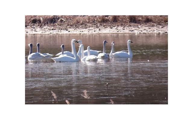 初心不变的唯美句子短句 初心不变的爱情句子 初心不变的唯美句子短句 初心不变的爱情句子
