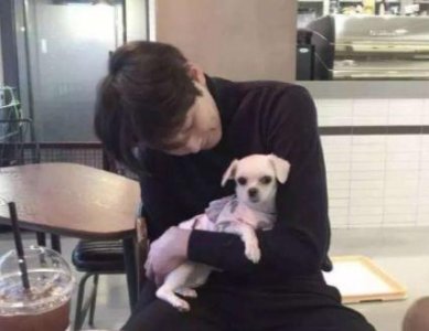 ​世界粮食节宣传口号大全(精选65句)