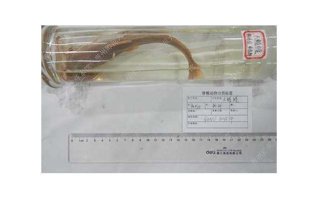 伤感句子短句爱情悲伤汇聚60条 伤感句子短句爱情悲伤汇聚60条