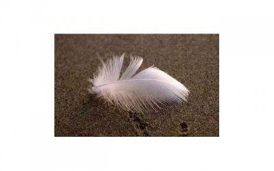 ​充满浓浓爱意的句子 2023年爱情的句子经典语录