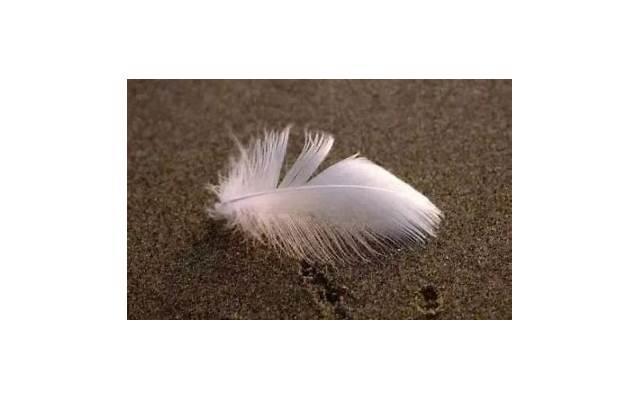 充满浓浓爱意的句子 2023年爱情的句子经典语录