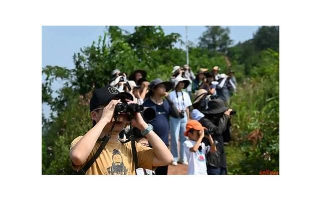 精选爱情的句子(精选54句) 精选爱情的句子(精选54句)