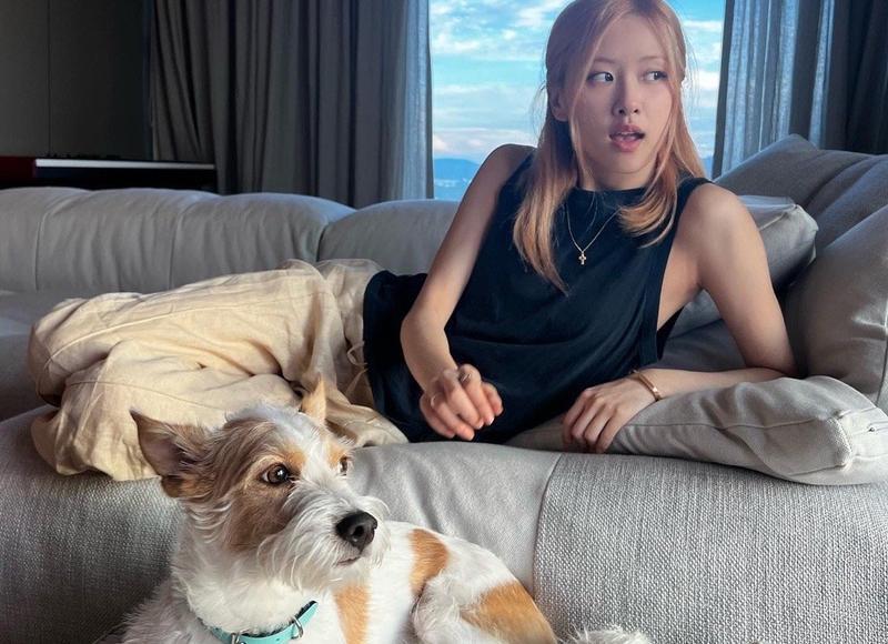 爱情元旦祝福语,让TA感受你的浓浓情意 爱情元旦祝福语,让TA感受你的浓浓情意