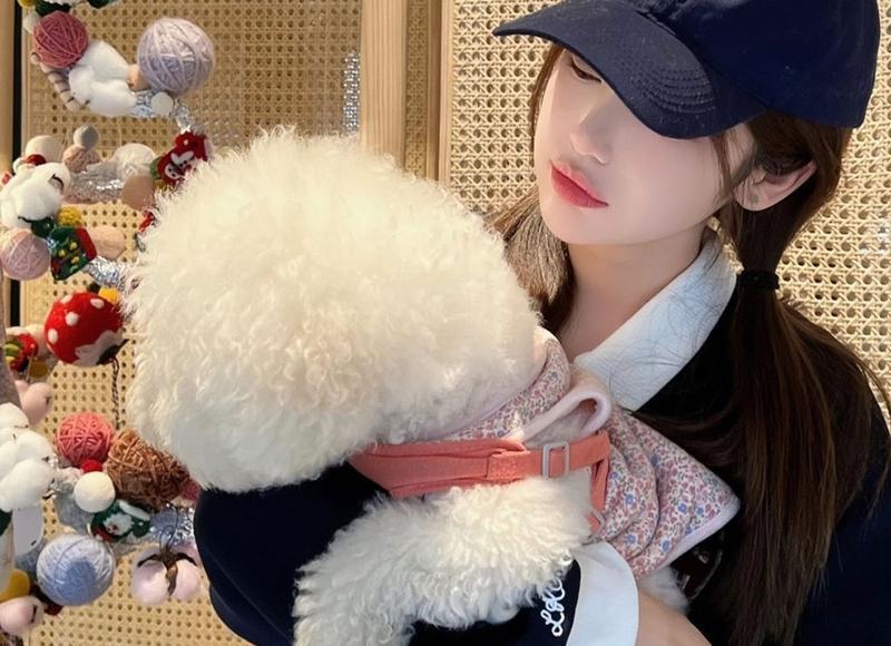 形容心情不好的句子个性签名 形容心情不好的句子个性签名