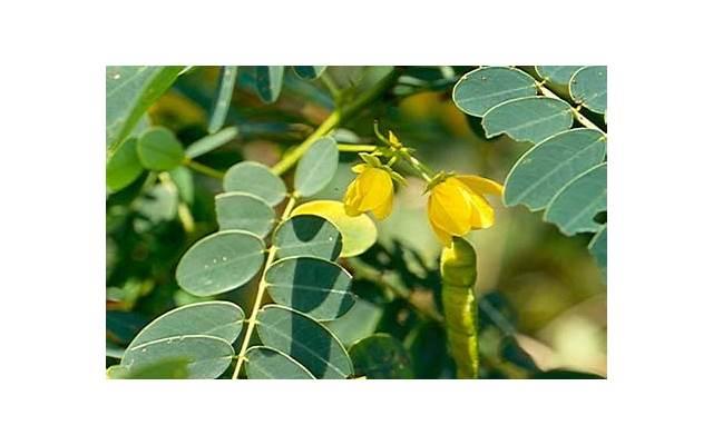 心情不好的句子带图片 心情不好的句子带图片