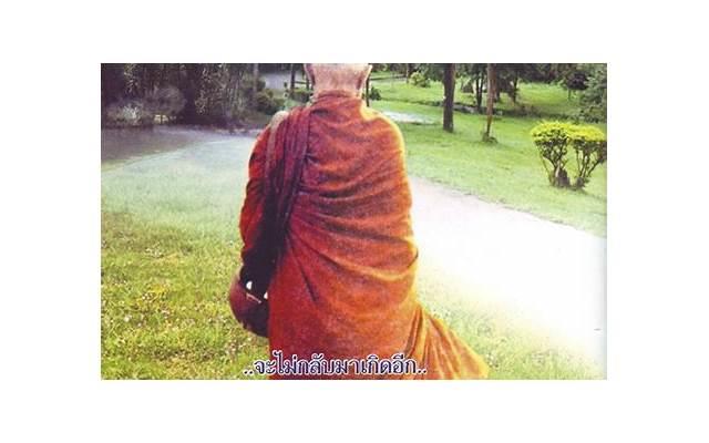 一个人的夜好孤单,好寂寞的伤感心情说说句子 一个人的夜好孤单,好寂寞的伤感心情说说句子