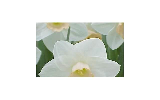 说说-经典社会语录短句快手 快手说说经典短句