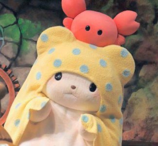 ​经典花的优美语句56条