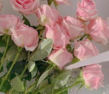 ​抖音上热门经典文案(67句)