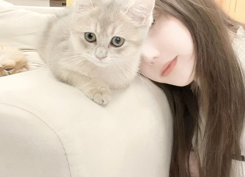 防溺水安全教育宣传标语 简易手抄花报花边(32句) 防溺水安全教育宣传标语 简易手抄花报花边(32句)