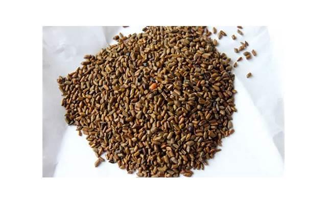 食堂节约标语图片 小学食堂标语大全 食堂节约标语图片 小学食堂标语大全