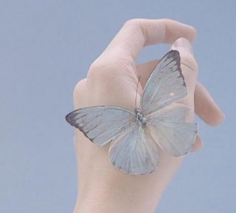 ​2025早安心语简短唯美话 早安暖心话短句(精选66句)