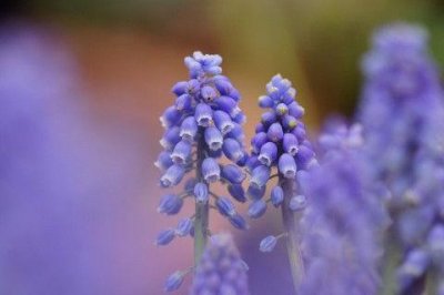 ​2025年离不开放不下的句子(55句)