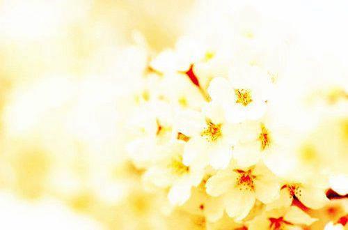 有关形容家庭幸福的句子9条