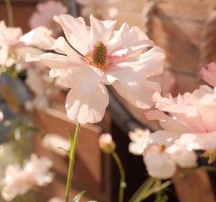 感恩兄弟帮助过的句子