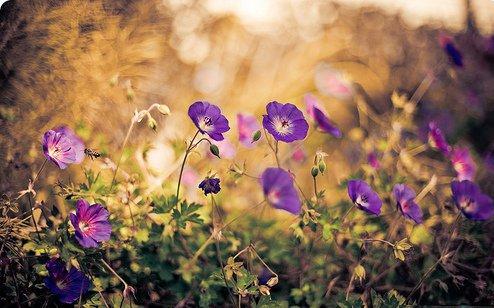 描写不短失去亲人心痛的句子