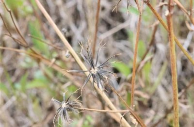 ​与朋友依依惜别的诗句