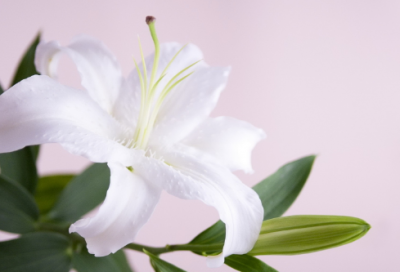 ​中秋诗句祝福简短