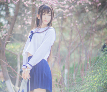 ​描写春草的诗句古诗词