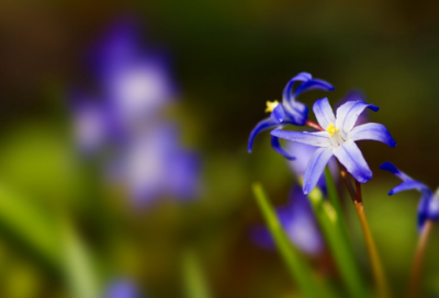 ​关于抖音配风景的说说句子