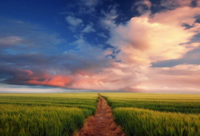 ​关于早晨的句子发朋友圈 清晨发朋友圈的说说