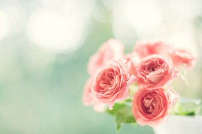 ​群里的性签名95句