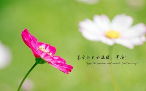 餐饮企业口号大全(服装公司口号简短有力)