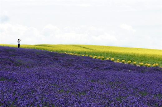 班级口号16字励志