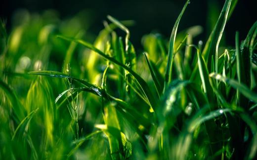 班级口号16字励志