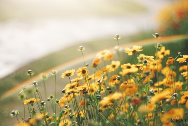 帮助别人的成语 帮助的名言名句有哪些