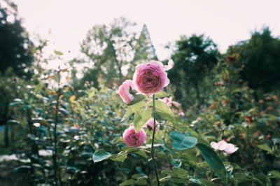 ​诚信的名言警句大全集 有关诚实守信的名人名言