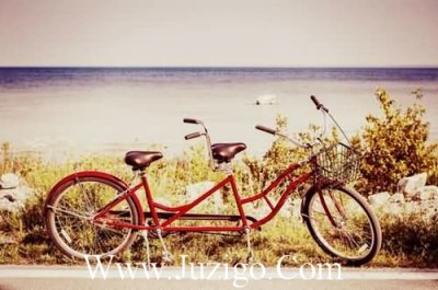 ​正能量奋斗句子励志短句子(精选38句)