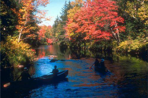 清晨心语正能量语句