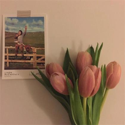 励志说说大全带图片