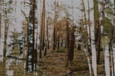 ​元旦发朋友圈说说励志 微信早安朋友圈励志说说[48句]