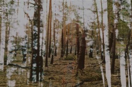 元旦发朋友圈说说励志