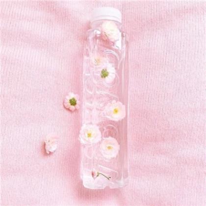 一早回家浇水发朋友圈