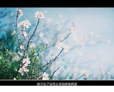 ​感悟人生正能量的句子（美好生活感悟经典短句）