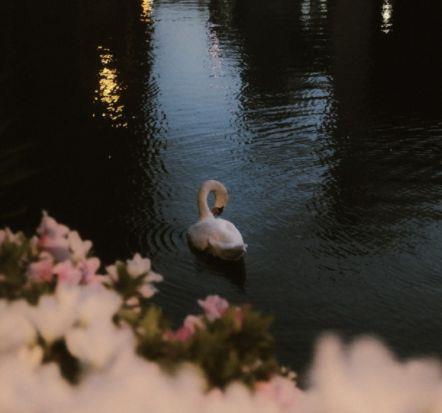 努力工作励志短句子