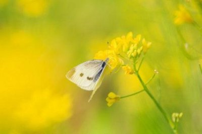 ​早安励志心语