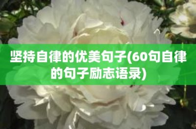 ​坚持自律的优美句子(60句自律的句子励志语录)